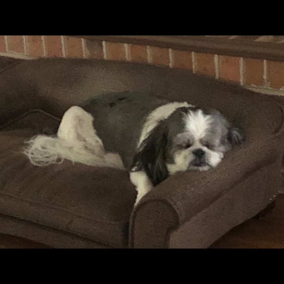 Meet your Posher, Janis - Picture 1 of 1